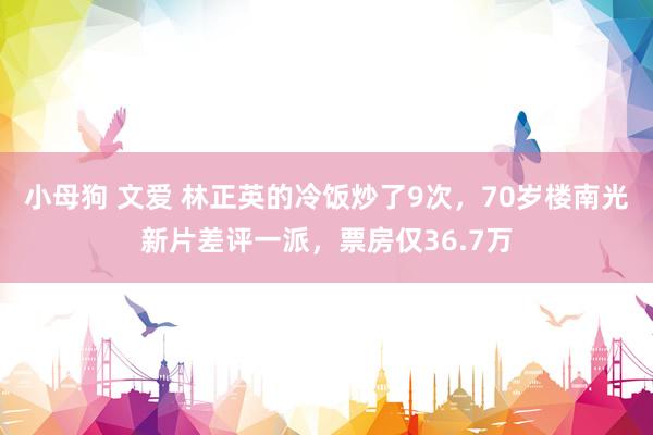 小母狗 文爱 林正英的冷饭炒了9次，70岁楼南光新片差评一派，票房仅36.7万