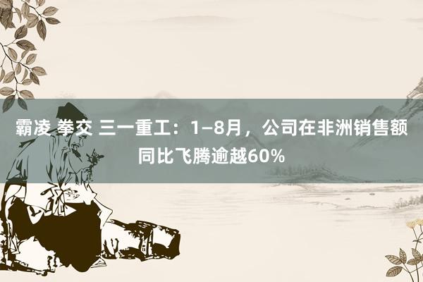 霸凌 拳交 三一重工：1—8月，公司在非洲销售额同比飞腾逾越60%