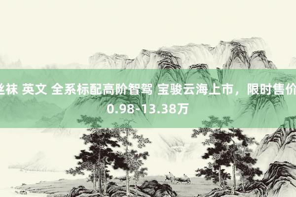 丝袜 英文 全系标配高阶智驾 宝骏云海上市，限时售价10.98-13.38万