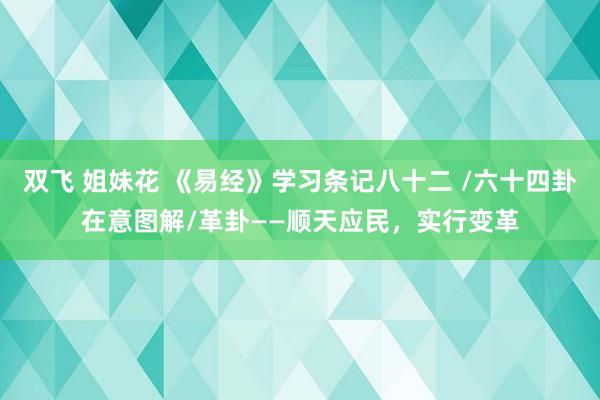 双飞 姐妹花 《易经》学习条记八十二 /六十四卦在意图解/革卦——顺天应民，实行变革