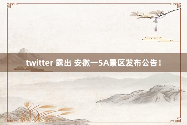 twitter 露出 安徽一5A景区发布公告！