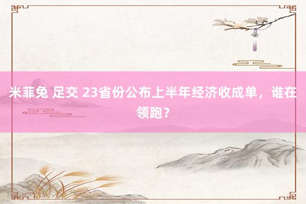 米菲兔 足交 23省份公布上半年经济收成单，谁在领跑？