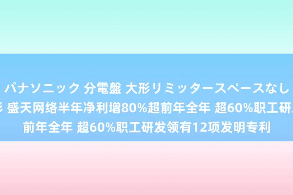 パナソニック 分電盤 大形リミッタースペースなし 露出・半埋込両用形 盛天网络半年净利增80%超前年全年 超60%职工研发领有12项发明专利