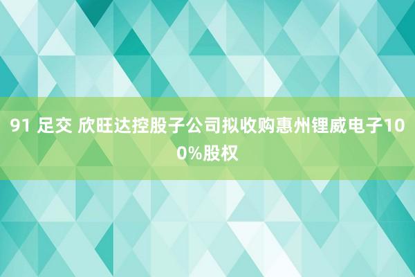 91 足交 欣旺达控股子公司拟收购惠州锂威电子100%股权