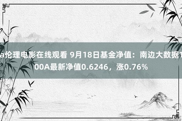 a伦理电影在线观看 9月18日基金净值：南边大数据100A最新净值0.6246，涨0.76%