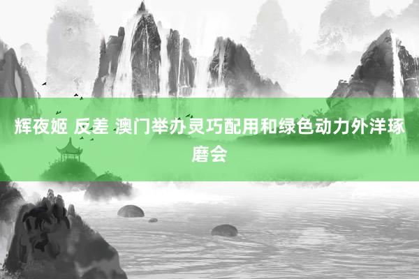 辉夜姬 反差 澳门举办灵巧配用和绿色动力外洋琢磨会