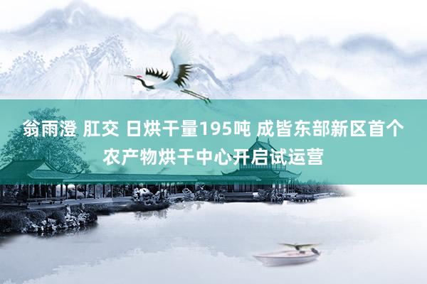 翁雨澄 肛交 日烘干量195吨 成皆东部新区首个农产物烘干中心开启试运营