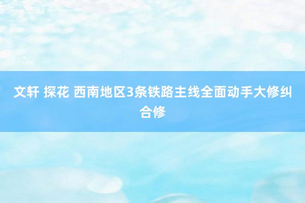 文轩 探花 西南地区3条铁路主线全面动手大修纠合修