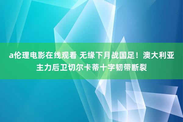 a伦理电影在线观看 无缘下月战国足！澳大利亚主力后卫切尔卡蒂十字韧带断裂