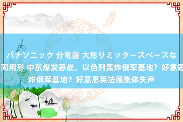 パナソニック 分電盤 大形リミッタースペースなし 露出・半埋込両用形 中东爆发恶战，以色列轰炸俄军基地？好意思英法德集体失声