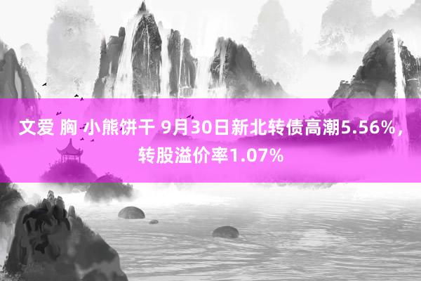 文爱 胸 小熊饼干 9月30日新北转债高潮5.56%，转股溢价率1.07%