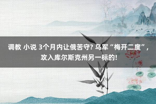 调教 小说 3个月内让俄苦守? 乌军“梅开二度”， 攻入库尔斯克州另一标的!