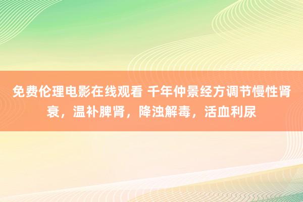 免费伦理电影在线观看 千年仲景经方调节慢性肾衰，温补脾肾，降浊解毒，活血利尿