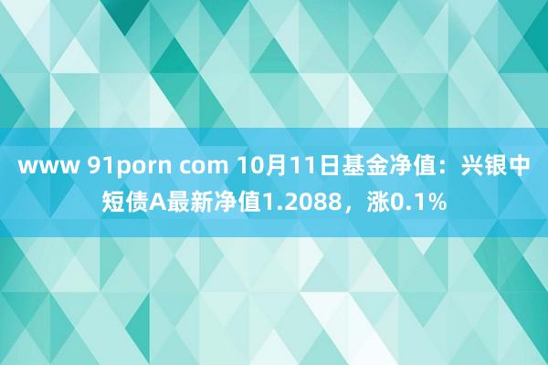 www 91porn com 10月11日基金净值：兴银中短债A最新净值1.2088，涨0.1%