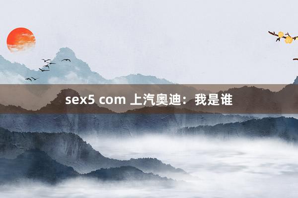 sex5 com 上汽奥迪：我是谁