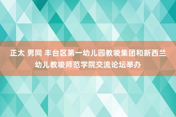 正太 男同 丰台区第一幼儿园教唆集团和新西兰幼儿教唆师范学院交流论坛举办