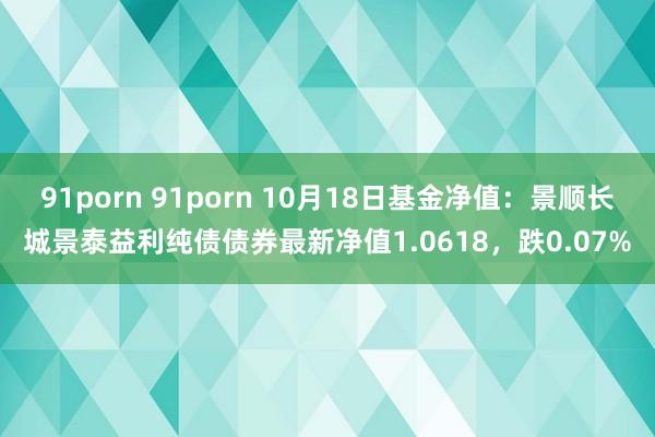 91porn 91porn 10月18日基金净值：景顺长城景泰益利纯债债券最新净值1.0618，跌0.07%