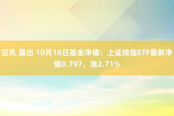 巨乳 露出 10月18日基金净值：上证综指ETF最新净值0.797，涨2.71%