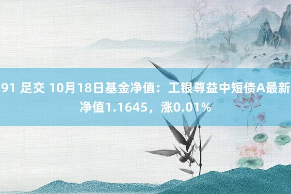 91 足交 10月18日基金净值：工银尊益中短债A最新净值1.1645，涨0.01%