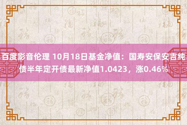 百度影音伦理 10月18日基金净值：国寿安保安吉纯债半年定开债最新净值1.0423，涨0.46%