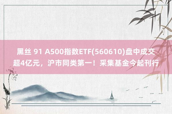 黑丝 91 A500指数ETF(560610)盘中成交超4亿元，沪市同类第一！采集基金今起刊行