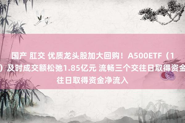 国产 肛交 优质龙头股加大回购！A500ETF（159339）及时成交额松弛1.85亿元 流畅三个交往日取得资金净流入