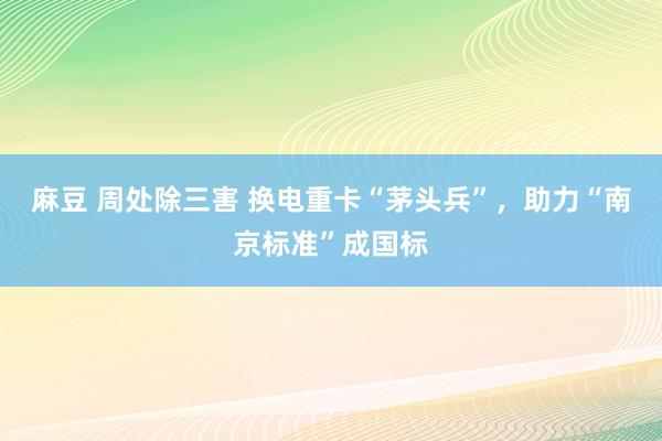 麻豆 周处除三害 换电重卡“茅头兵”，助力“南京标准”成国标