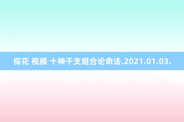 探花 视频 十神干支组合论命法.2021.01.03.