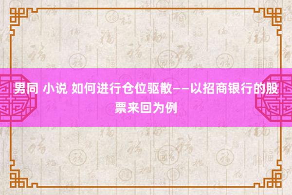 男同 小说 如何进行仓位驱散——以招商银行的股票来回为例