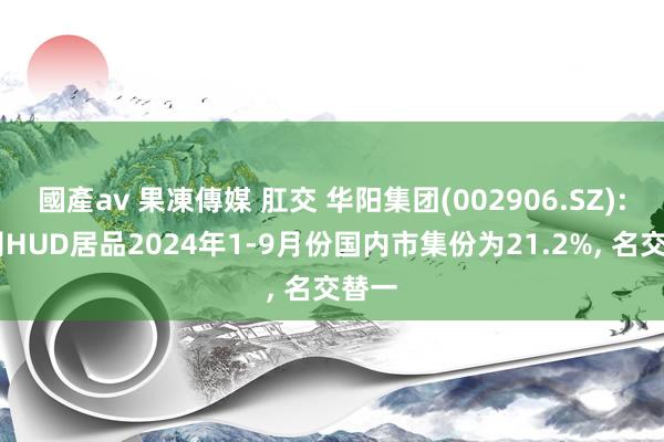 國產av 果凍傳媒 肛交 华阳集团(002906.SZ): 公司HUD居品2024年1-9月份国内市集份为21.2%， 名交替一