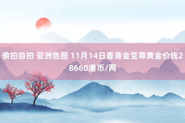 偷拍自拍 亚洲色图 11月14日香港金至尊黄金价钱28660港币/两