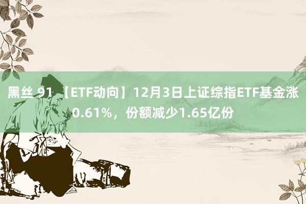 黑丝 91 【ETF动向】12月3日上证综指ETF基金涨0.61%，份额减少1.65亿份