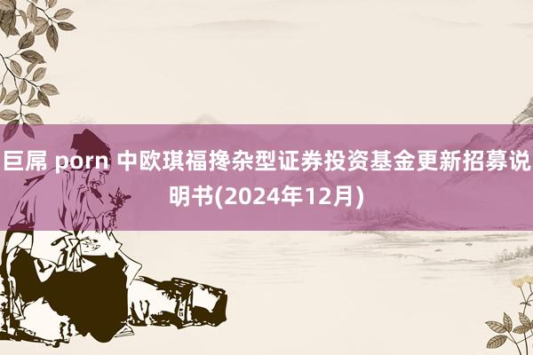 巨屌 porn 中欧琪福搀杂型证券投资基金更新招募说明书(2024年12月)