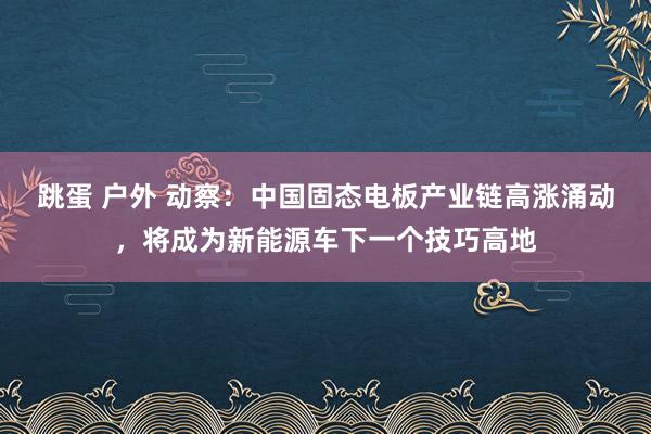 跳蛋 户外 动察：中国固态电板产业链高涨涌动，将成为新能源车下一个技巧高地