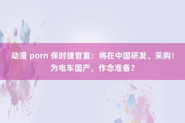 动漫 porn 保时捷官宣：将在中国研发、采购！为电车国产，作念准备？