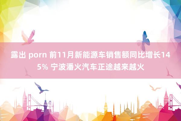 露出 porn 前11月新能源车销售额同比增长145% 宁波潘火汽车正途越来越火