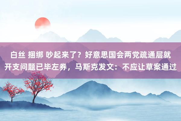 白丝 捆绑 吵起来了？好意思国会两党疏通层就开支问题已毕左券，马斯克发文：不应让草案通过