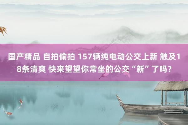 国产精品 自拍偷拍 157辆纯电动公交上新 触及18条清爽 快来望望你常坐的公交“新”了吗？