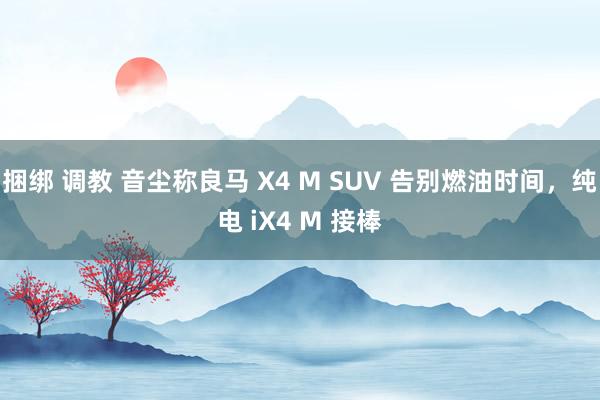 捆绑 调教 音尘称良马 X4 M SUV 告别燃油时间，纯电 iX4 M 接棒