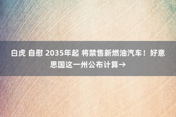 白虎 自慰 2035年起 将禁售新燃油汽车！好意思国这一州公布计算→