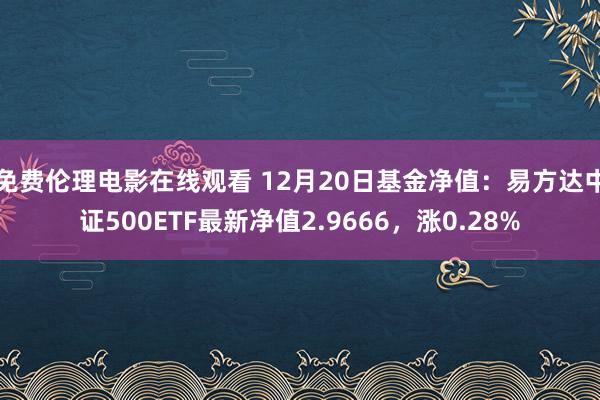 免费伦理电影在线观看 12月20日基金净值：易方达中证500ETF最新净值2.9666，涨0.28%