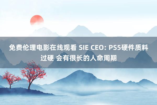 免费伦理电影在线观看 SIE CEO: PS5硬件质料过硬 会有很长的人命周期