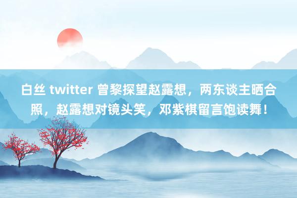 白丝 twitter 曾黎探望赵露想，两东谈主晒合照，赵露想对镜头笑，邓紫棋留言饱读舞！