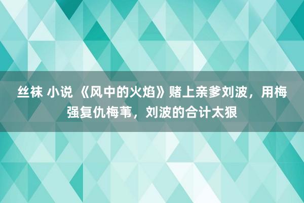 丝袜 小说 《风中的火焰》赌上亲爹刘波，用梅强复仇梅苇，刘波的合计太狠