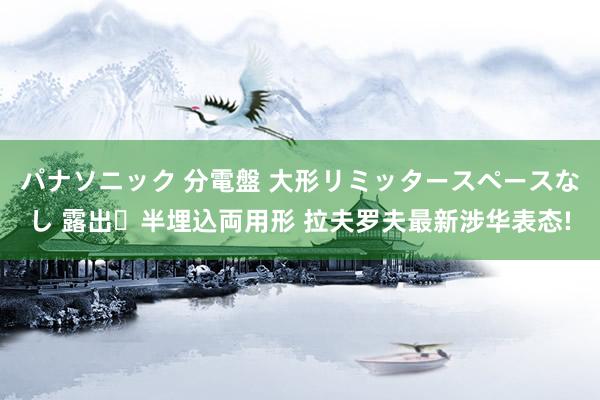 パナソニック 分電盤 大形リミッタースペースなし 露出・半埋込両用形 拉夫罗夫最新涉华表态!