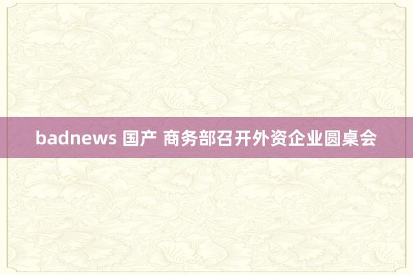 badnews 国产 商务部召开外资企业圆桌会